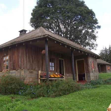 Castle Forest Lodge Mount Kenya National Park Extérieur photo