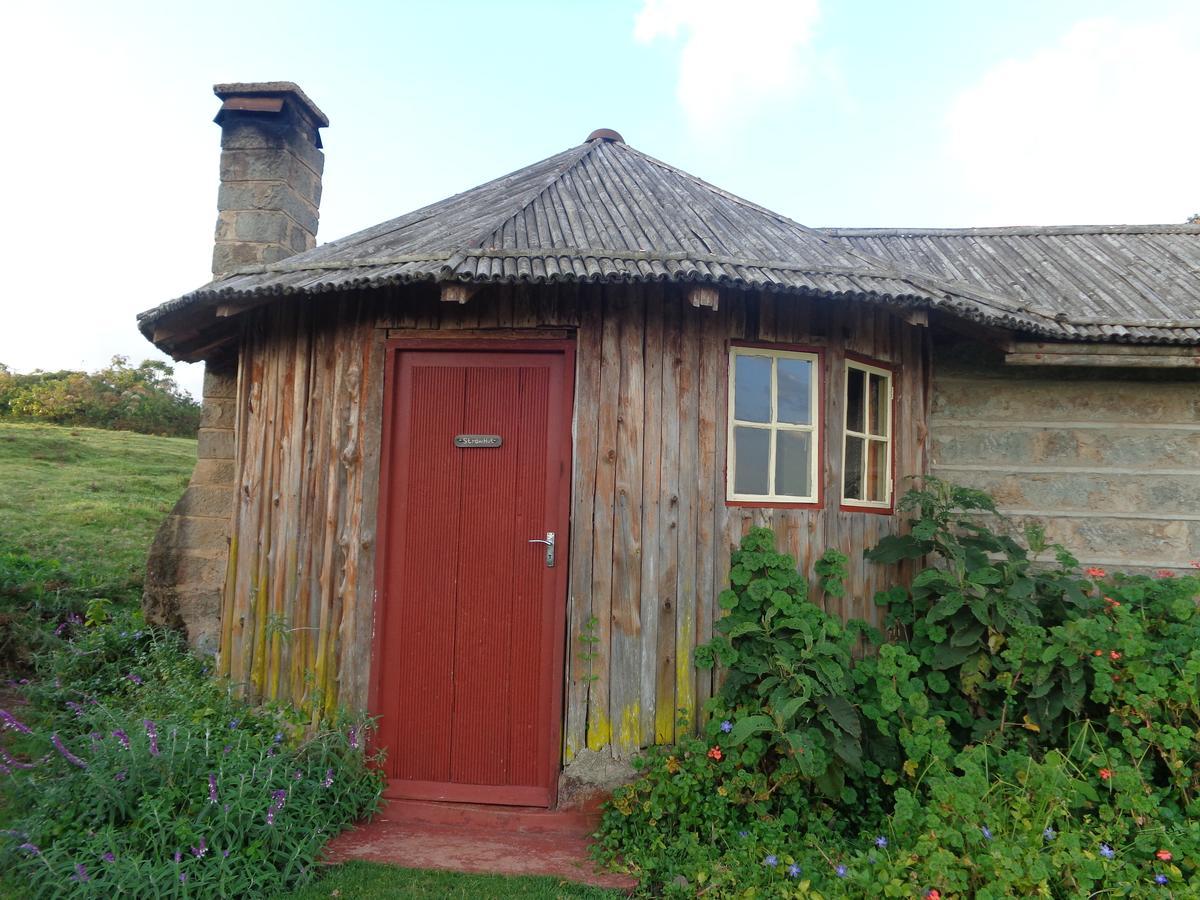 Castle Forest Lodge Mount Kenya National Park Extérieur photo