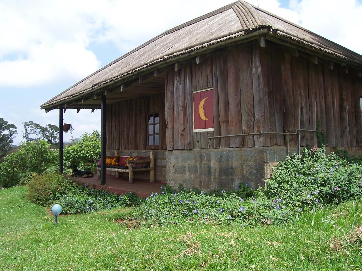 Castle Forest Lodge Mount Kenya National Park Extérieur photo