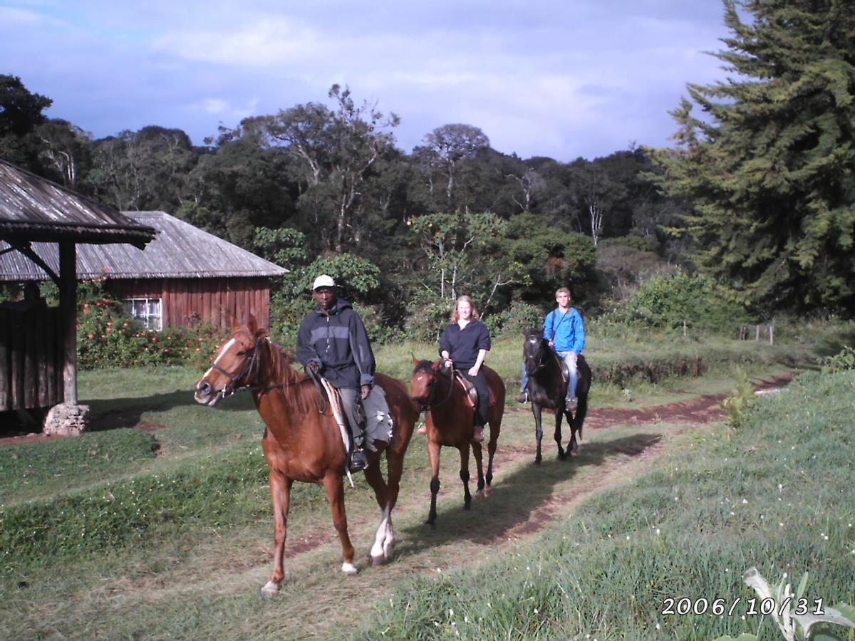 Castle Forest Lodge Mount Kenya National Park Extérieur photo