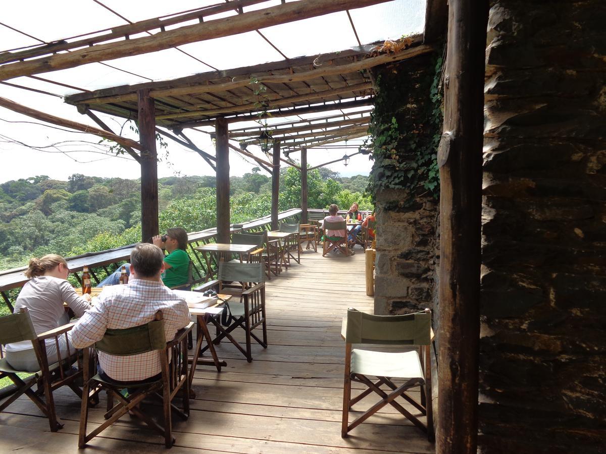 Castle Forest Lodge Mount Kenya National Park Extérieur photo