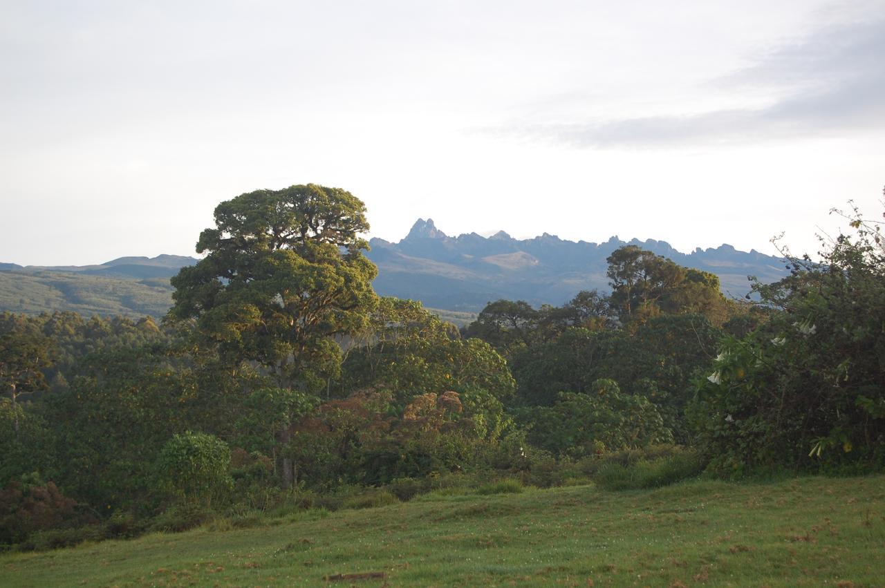 Castle Forest Lodge Mount Kenya National Park Extérieur photo