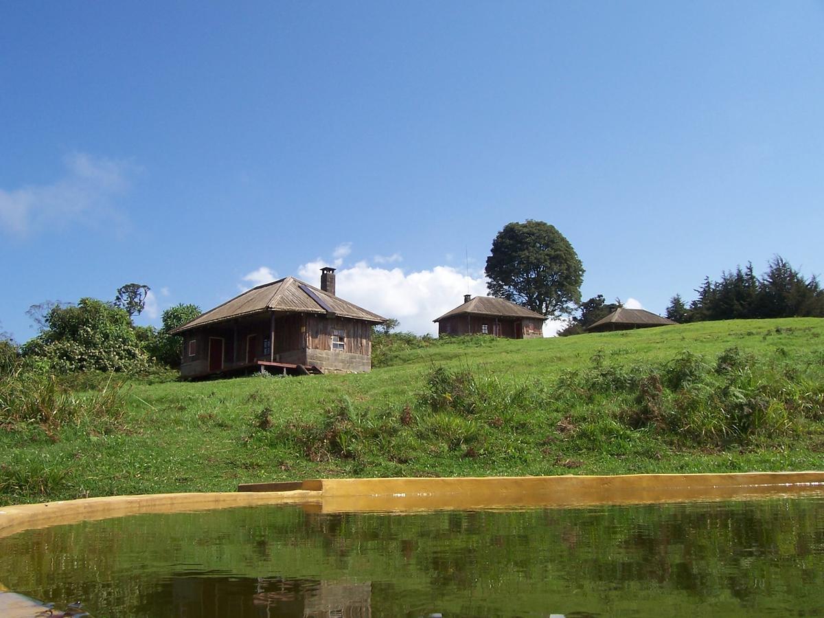 Castle Forest Lodge Mount Kenya National Park Extérieur photo