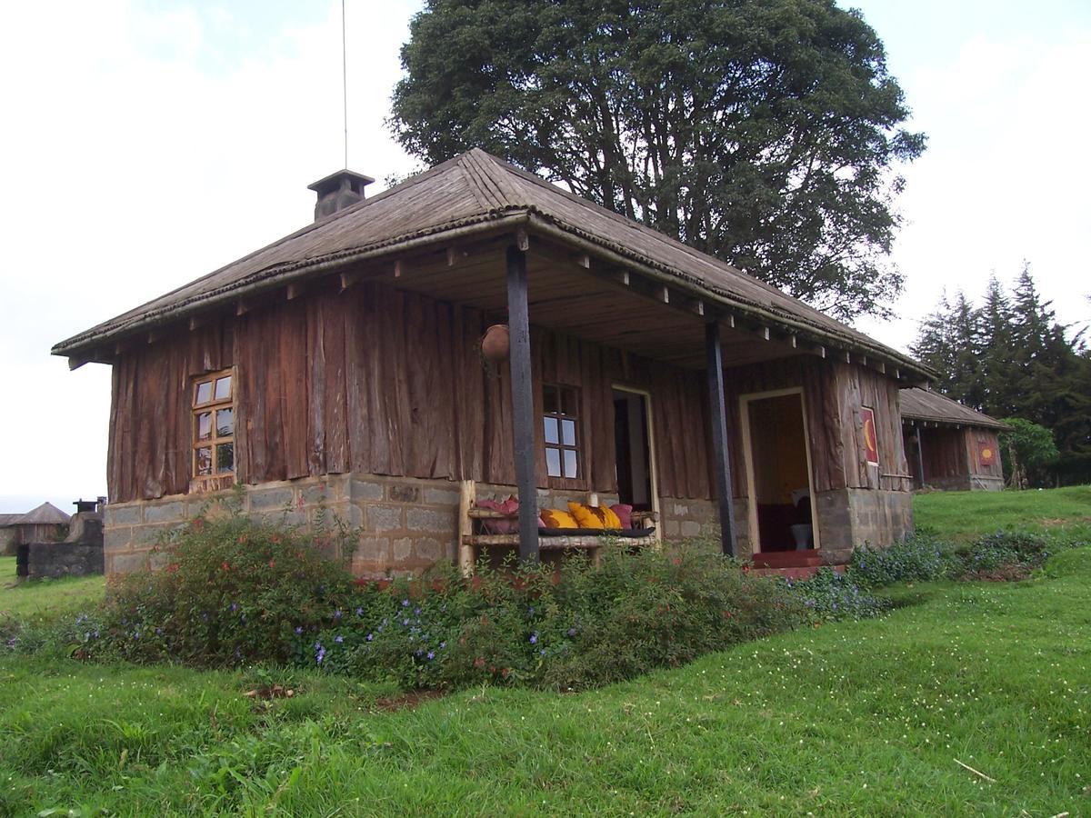 Castle Forest Lodge Mount Kenya National Park Extérieur photo