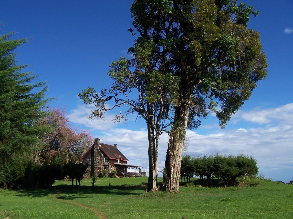 Castle Forest Lodge Mount Kenya National Park Extérieur photo