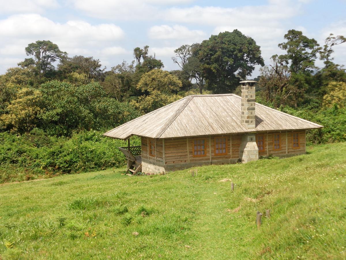 Castle Forest Lodge Mount Kenya National Park Extérieur photo