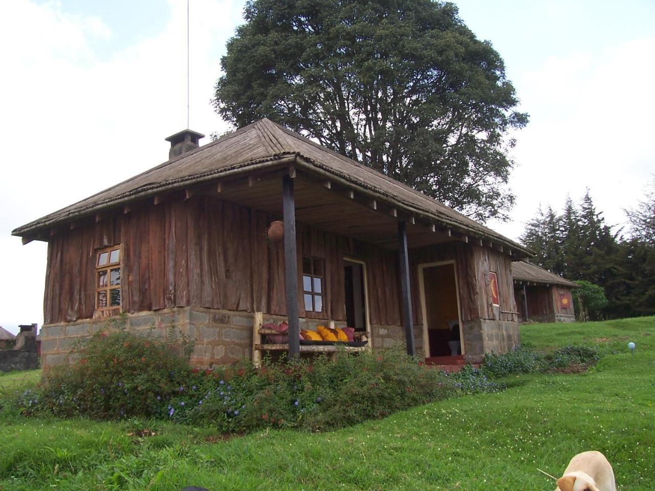 Castle Forest Lodge Mount Kenya National Park Extérieur photo